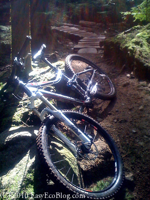 mountain bike, cycling, green forest