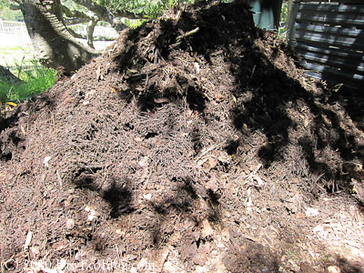 compost soil