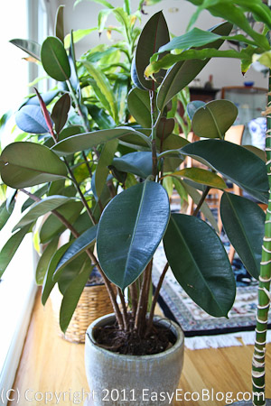 air cleaning plant, air purifying plant
