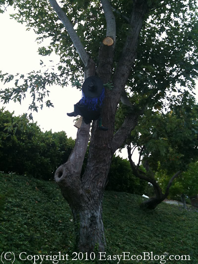 Halloween witch flying into a tree